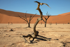 Deadvlei