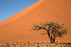Massive Sossusvlei Dune