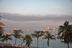 Stone Town Harbour
