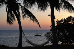 This is Zanzibar