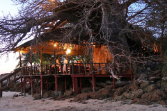 Fumba Baobab Terrace